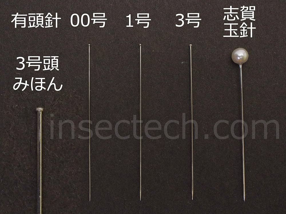 Amazon.co.jp: insectech 有頭 志賀昆虫針 (0号) : おもちゃ